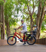 Pedal Rear Side Bars (Packer/Nomad Cargo EM7)